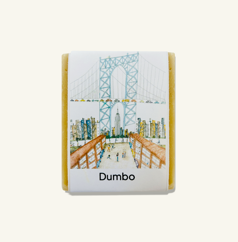 Dumbo soap